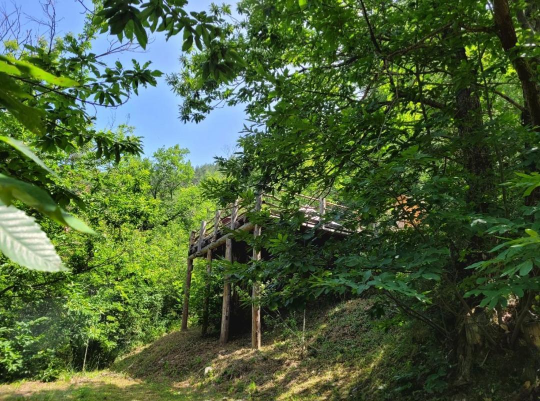 Loz'Aire Naturelle Quezac  외부 사진